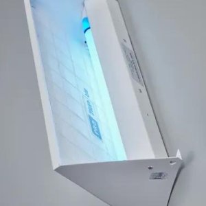 Insect Light Traps