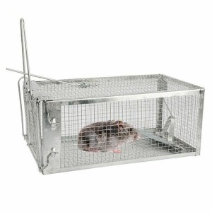 Live Animal Cage