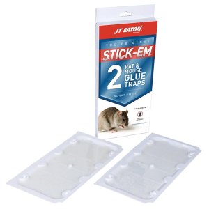 Glue Traps