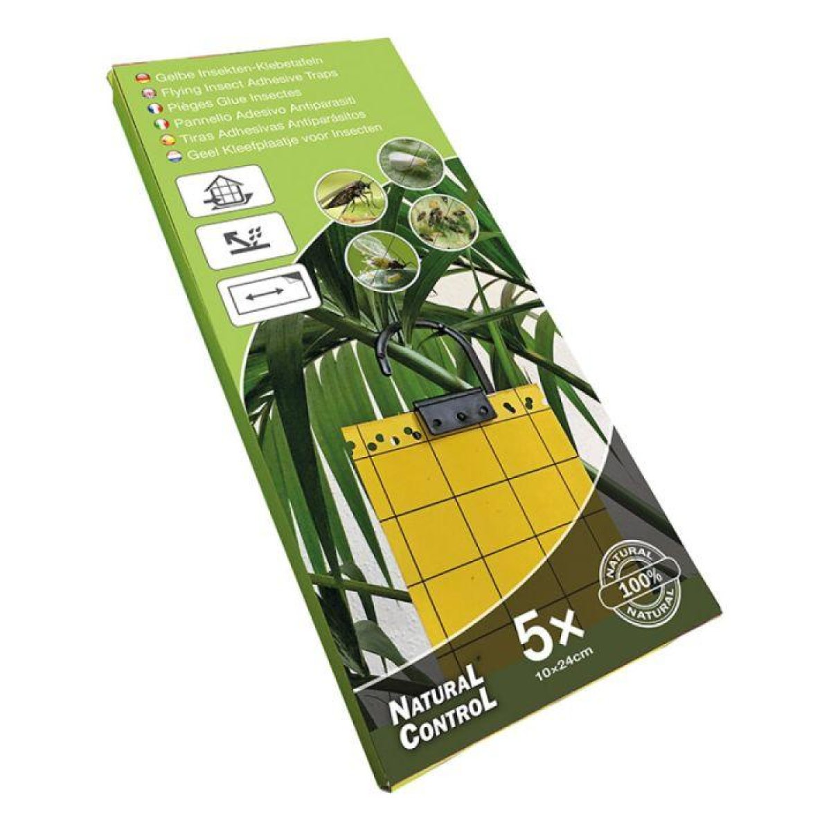 Glue Traps