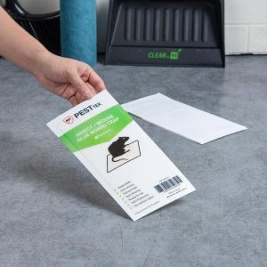 Glue Traps