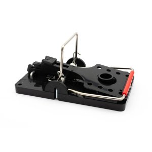 Rat Traps