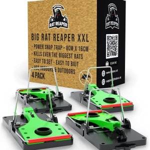 Rat Traps
