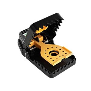 Mouse Traps
