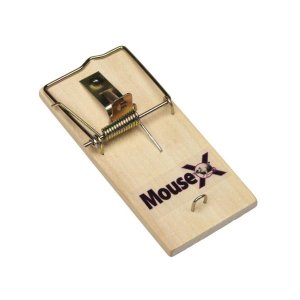 Mouse Traps