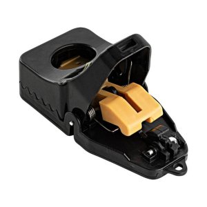 Mouse Traps