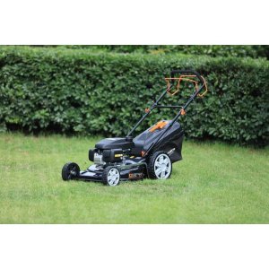 Lawn Mowers