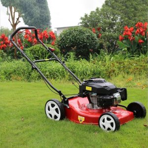 Lawn Mowers