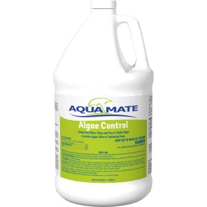 Pool Algaecides