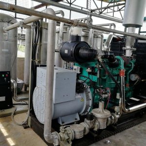 Biogas generators