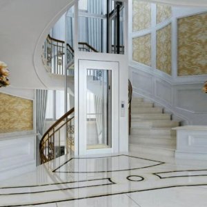 Home passenger lifts