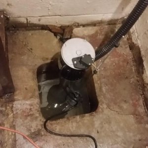 Pedestal sump pumps