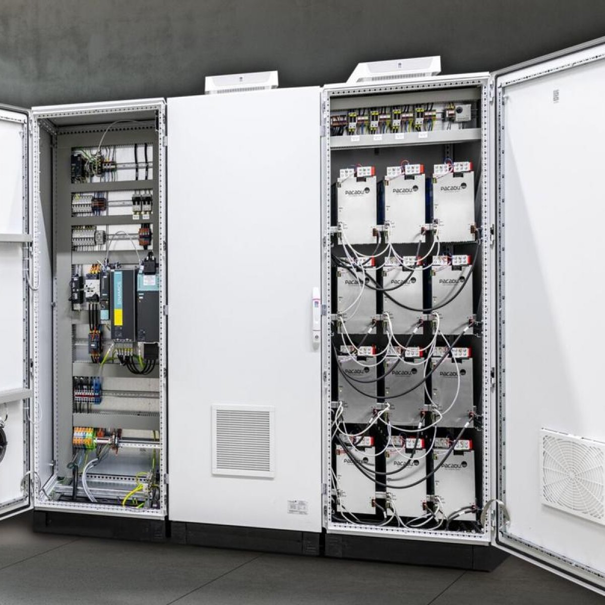 Battery Management System (BMS)