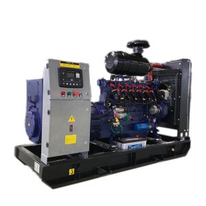 LPG Gas Generator Set