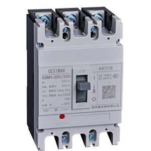 Molded Case Circuit Breaker (MCCB)