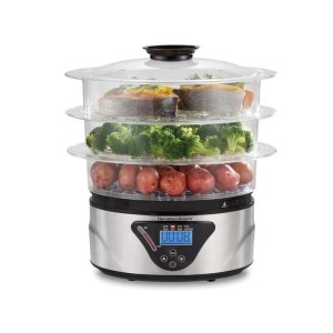 Electric food steamers