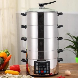 Electric food steamers