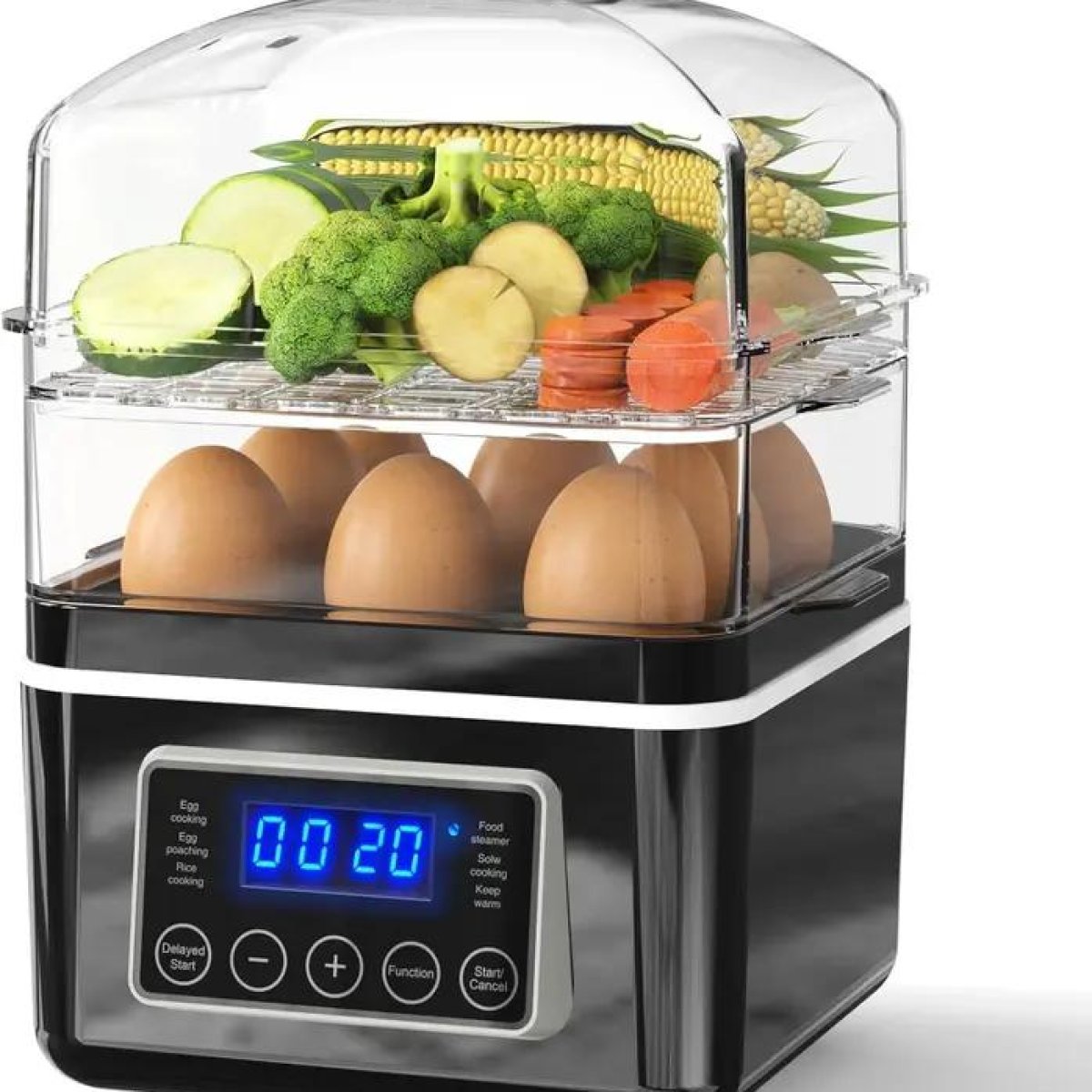 Electric food steamers