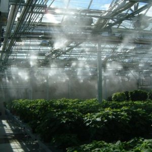 Greenhouse Fogging System