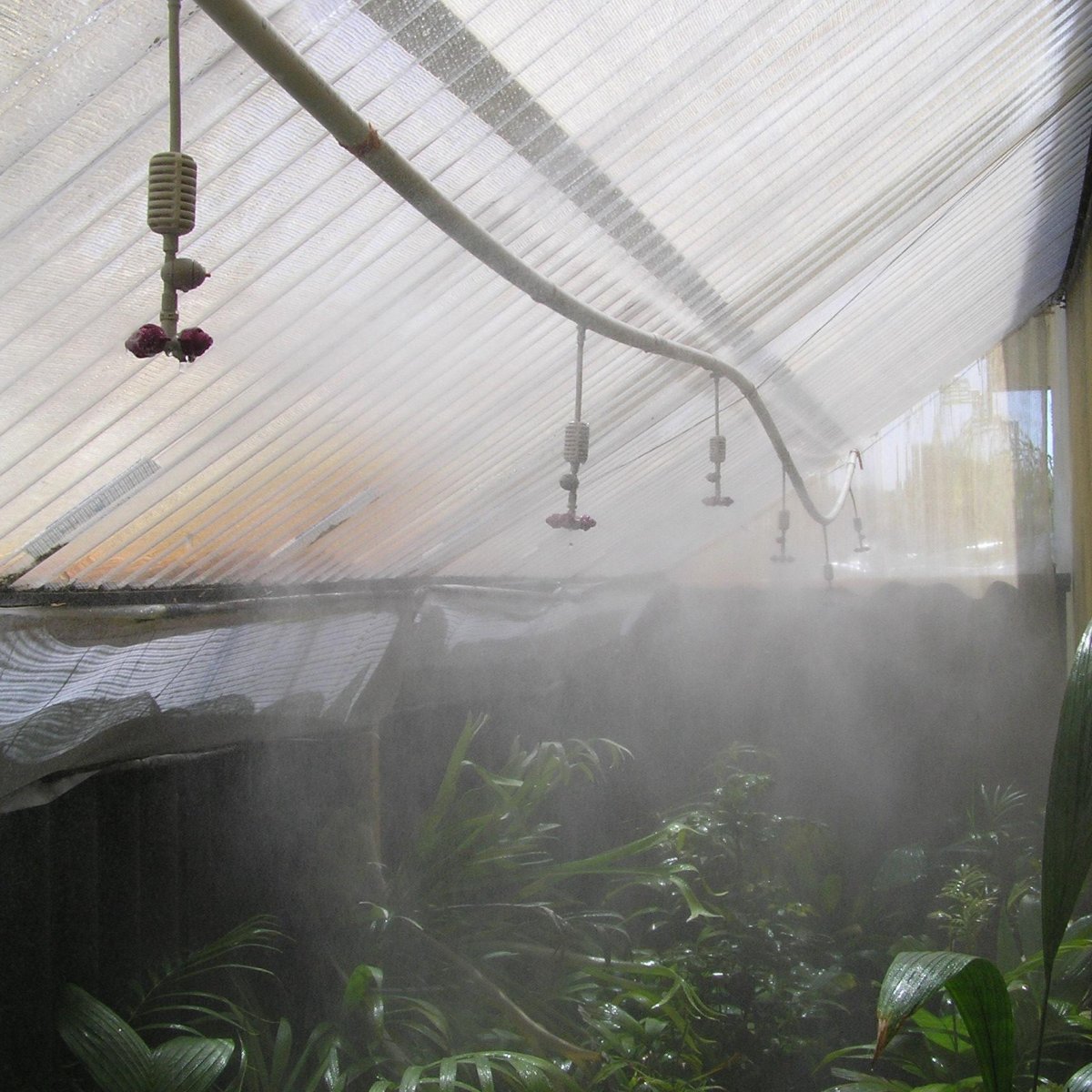 Greenhouse Fogging System