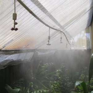 Greenhouse Fogging System