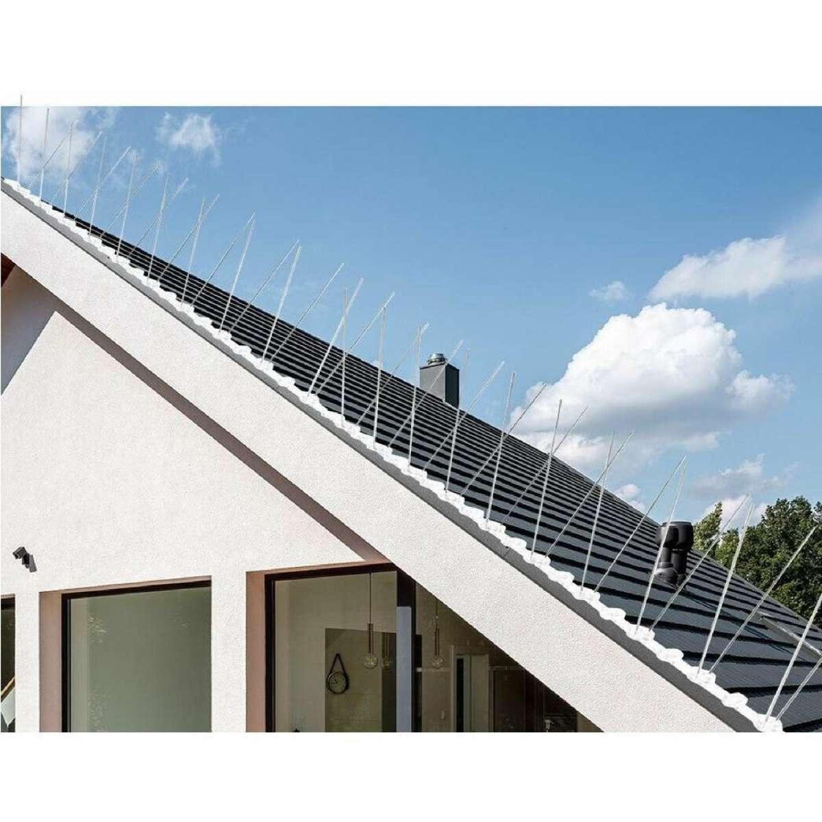 Bird Spikes