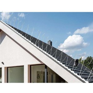 Bird Spikes