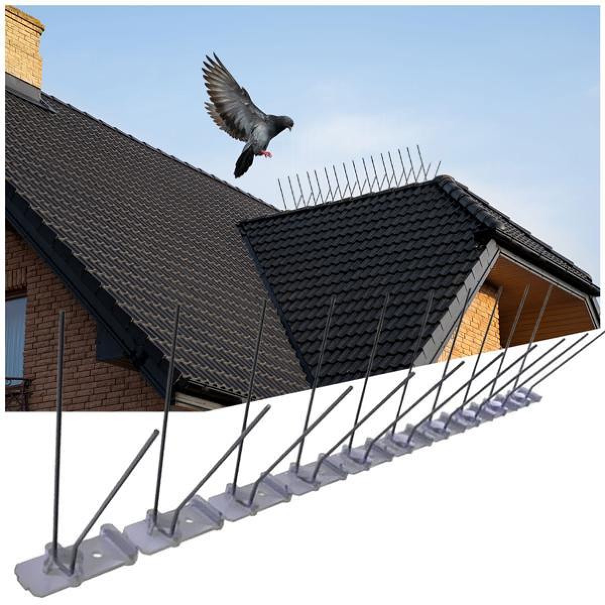Bird Spikes