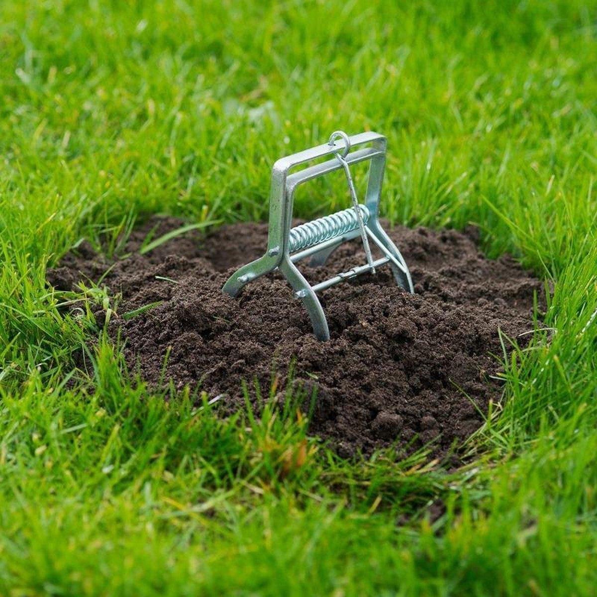 Mole Trap