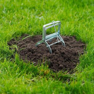 Mole Trap