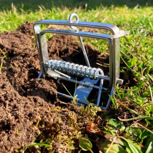 Mole Trap