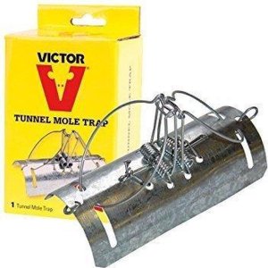 Mole Trap