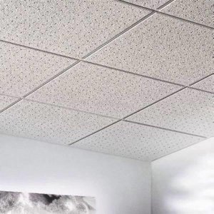Acoustic Ceiling Panels