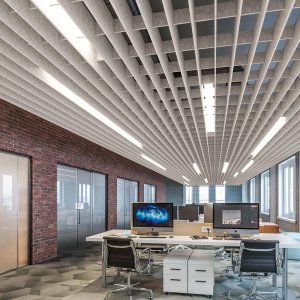 Acoustic Ceiling Panels