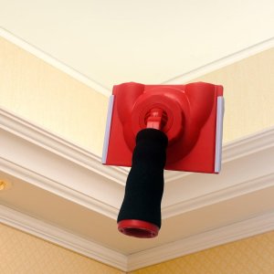 Paint Edger Tool