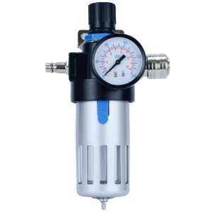 Air filters and moisture separator