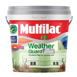 Exterior weatherproof paint