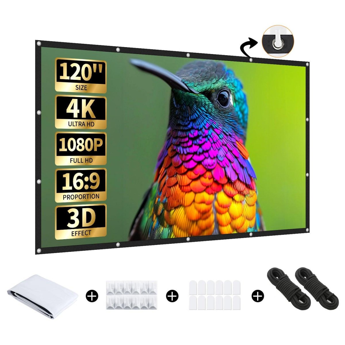 Projector Screen