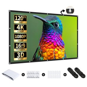 Projector Screen