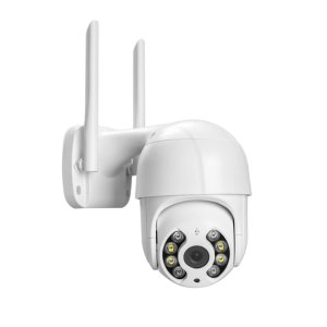 IP Cameras