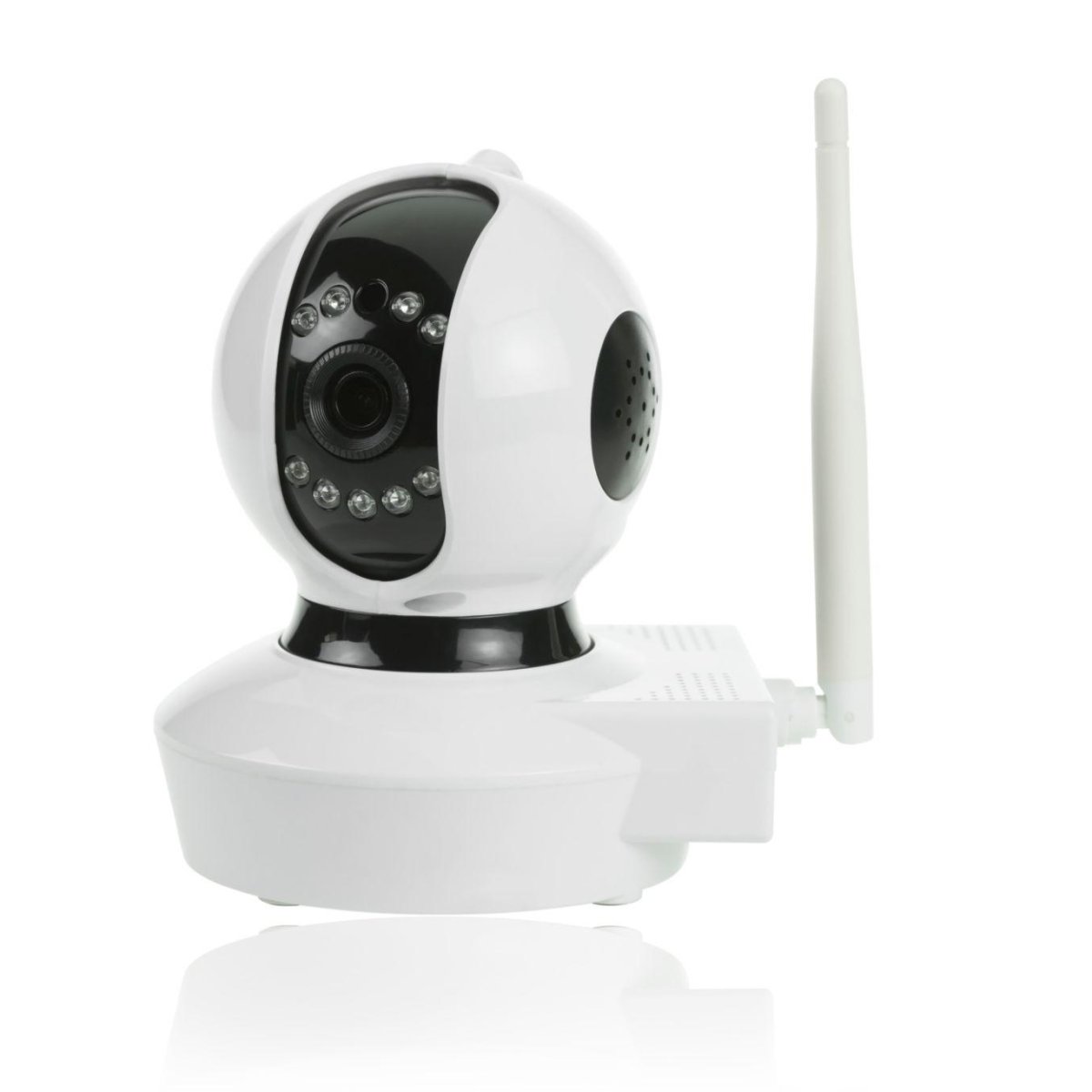 IP Cameras