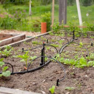 Drip Irrigation Systems