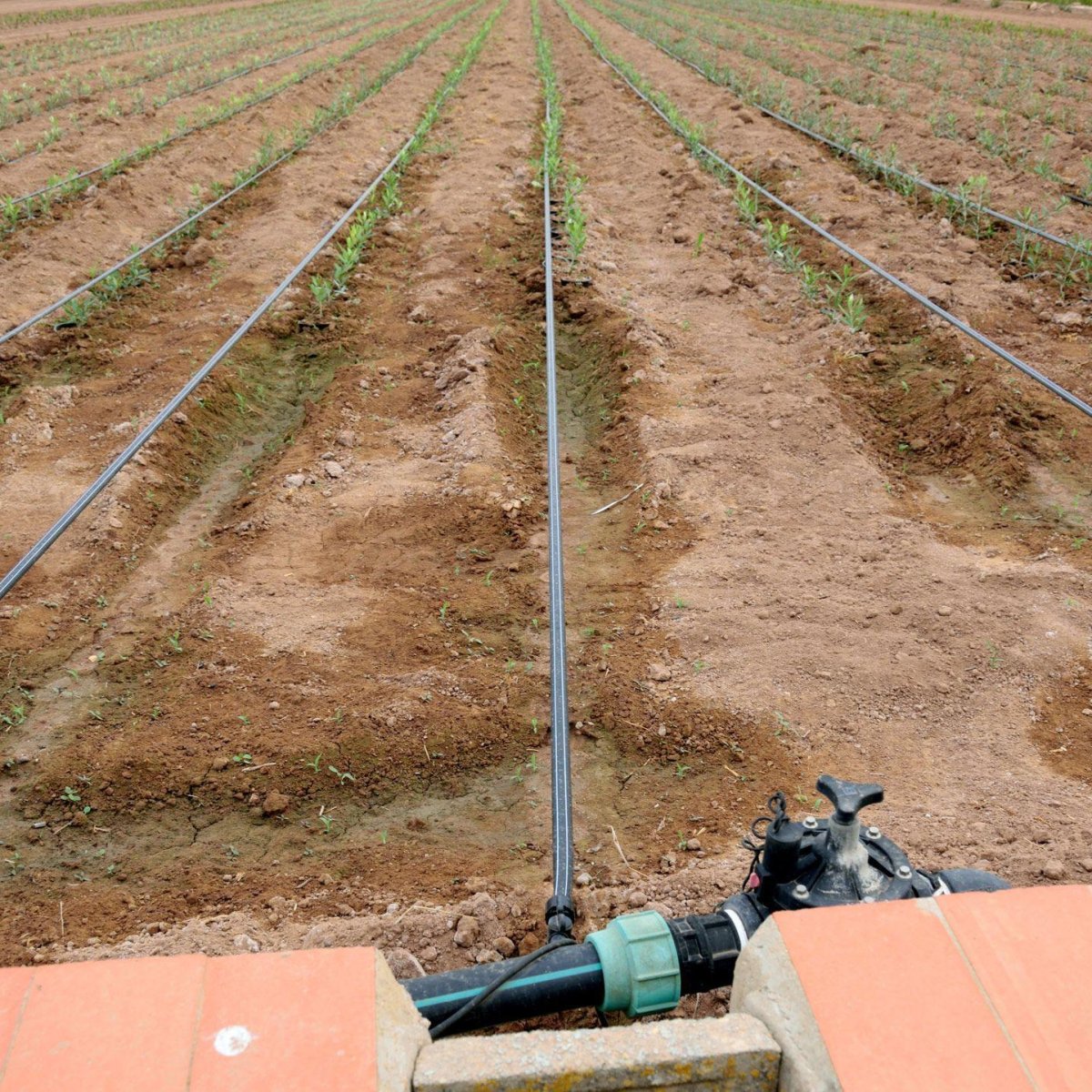 Drip Irrigation Systems