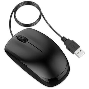 Mouse