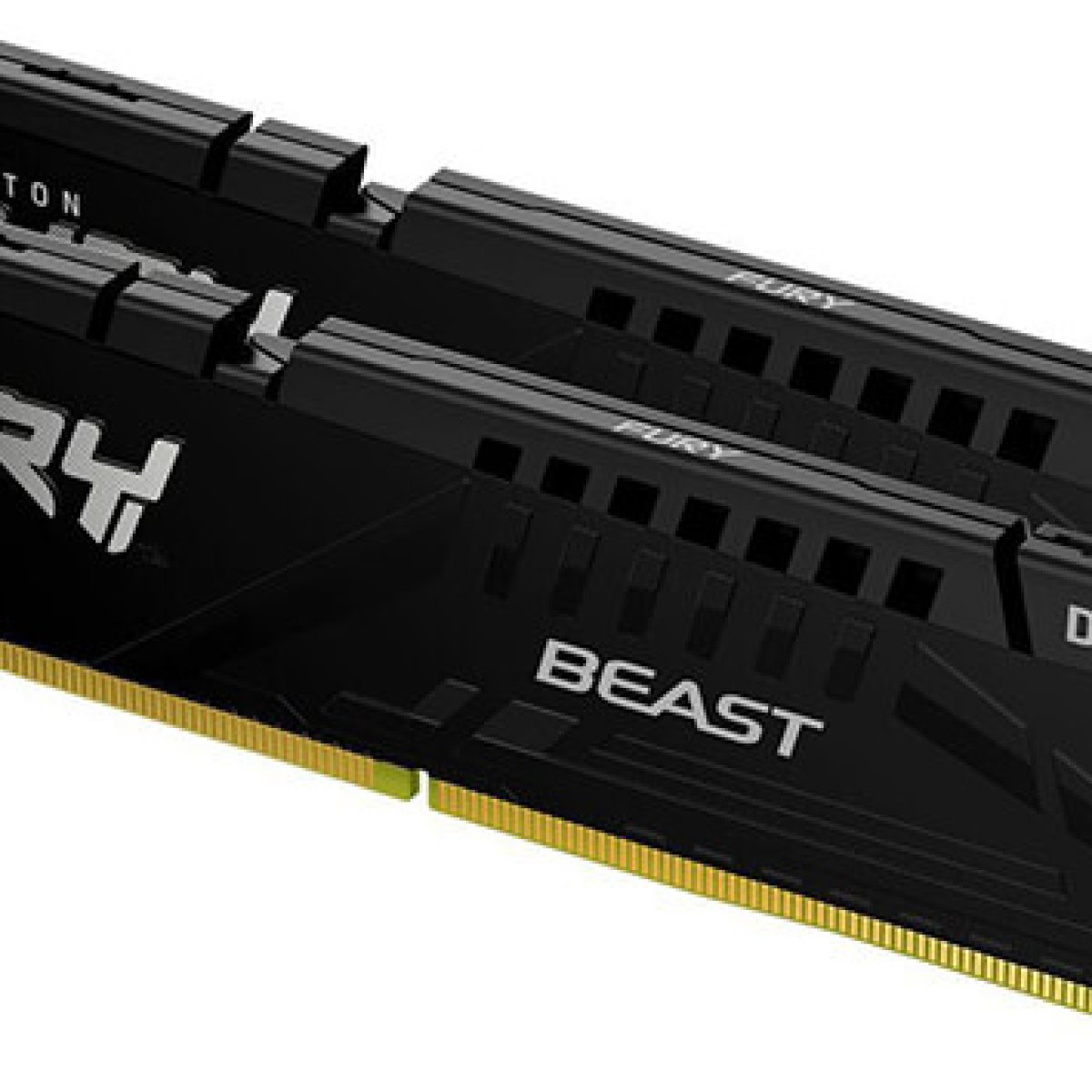 RAM (Random Access Memory)