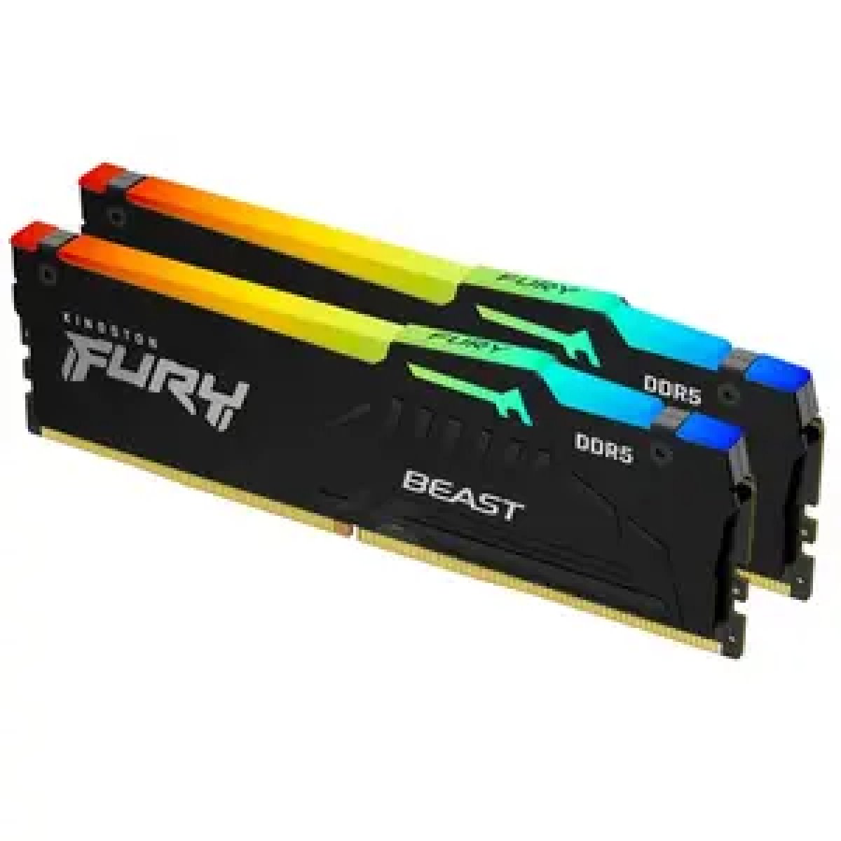 RAM (Random Access Memory)