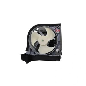 Fan