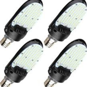 Paddle Bulb