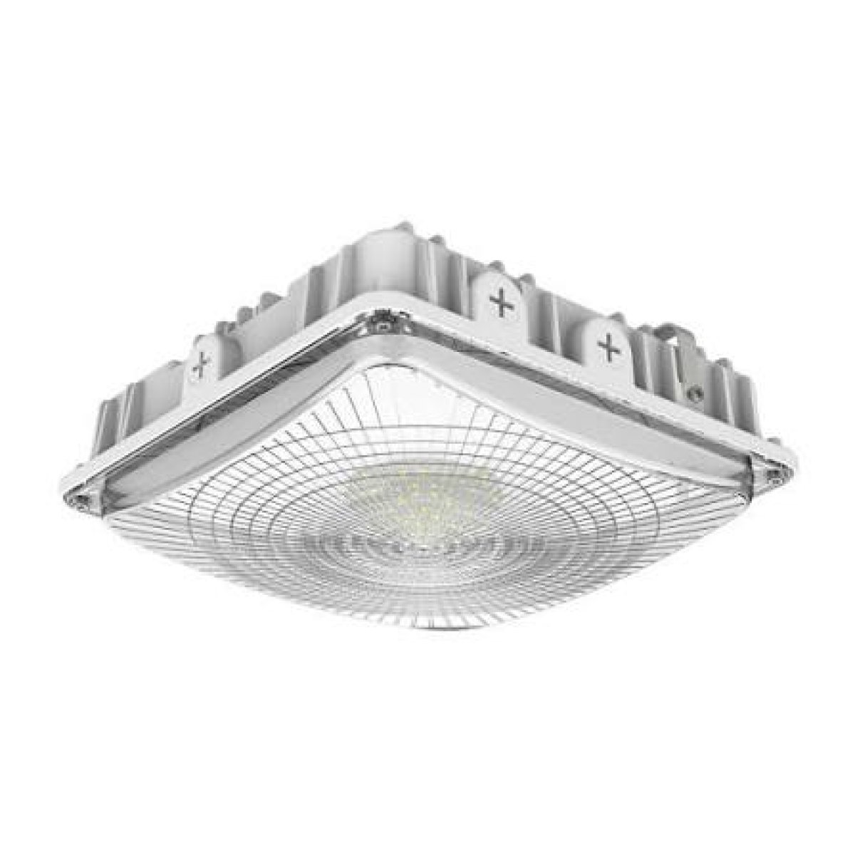 Canopy Light