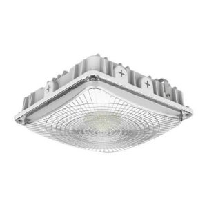 Canopy Light